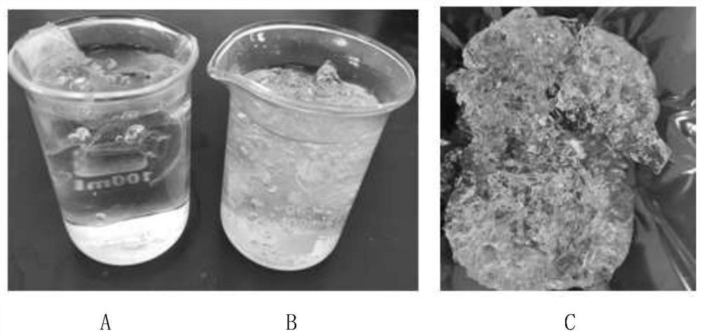 Anti-abuse opioid oral sustained-release tablet and preparation method thereof