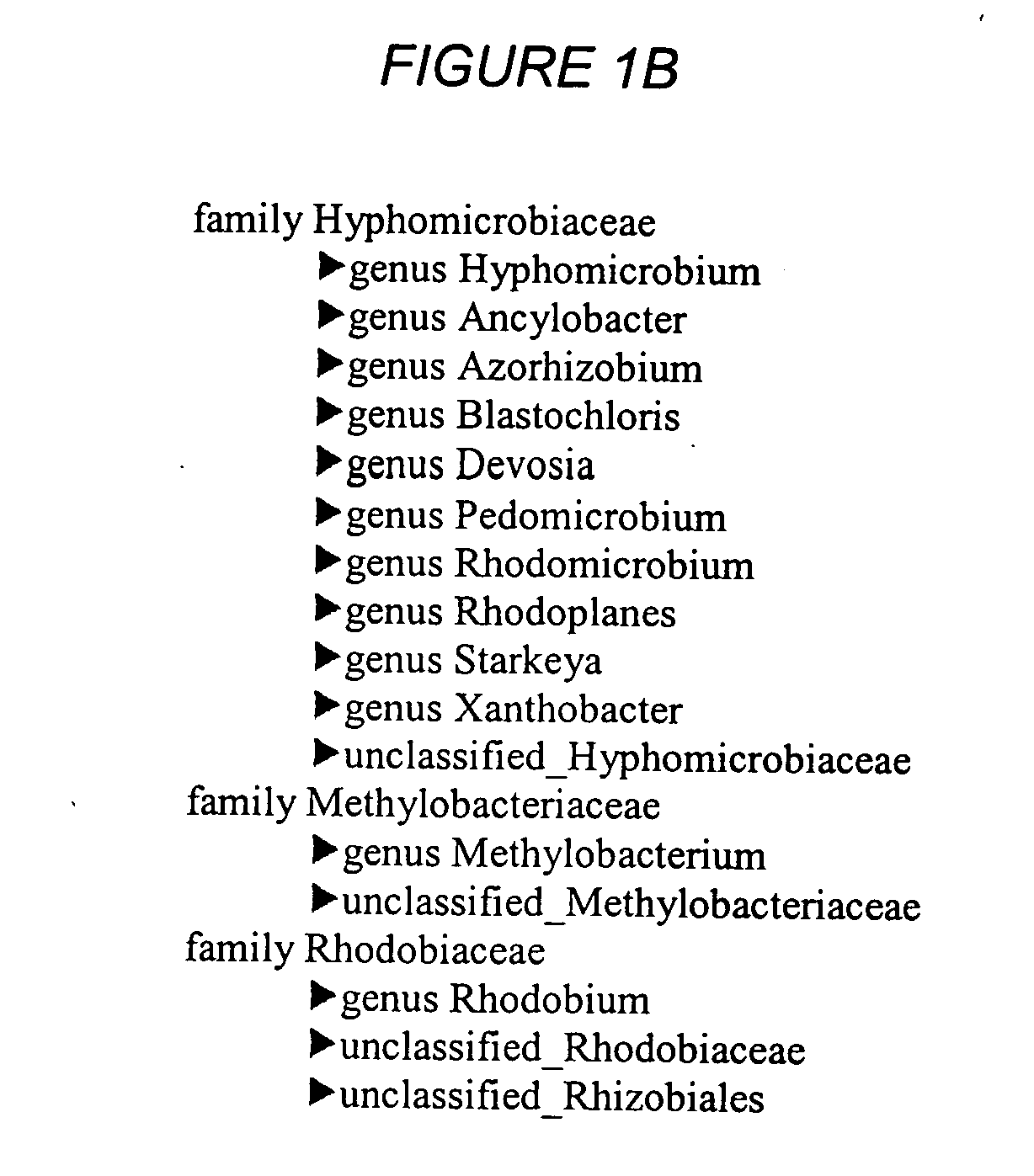 Biological gene transfer system for eukaryotic cells