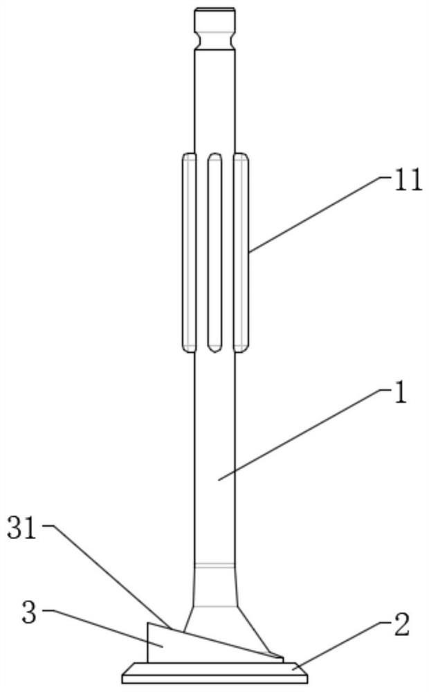 Intake valve structure and engine