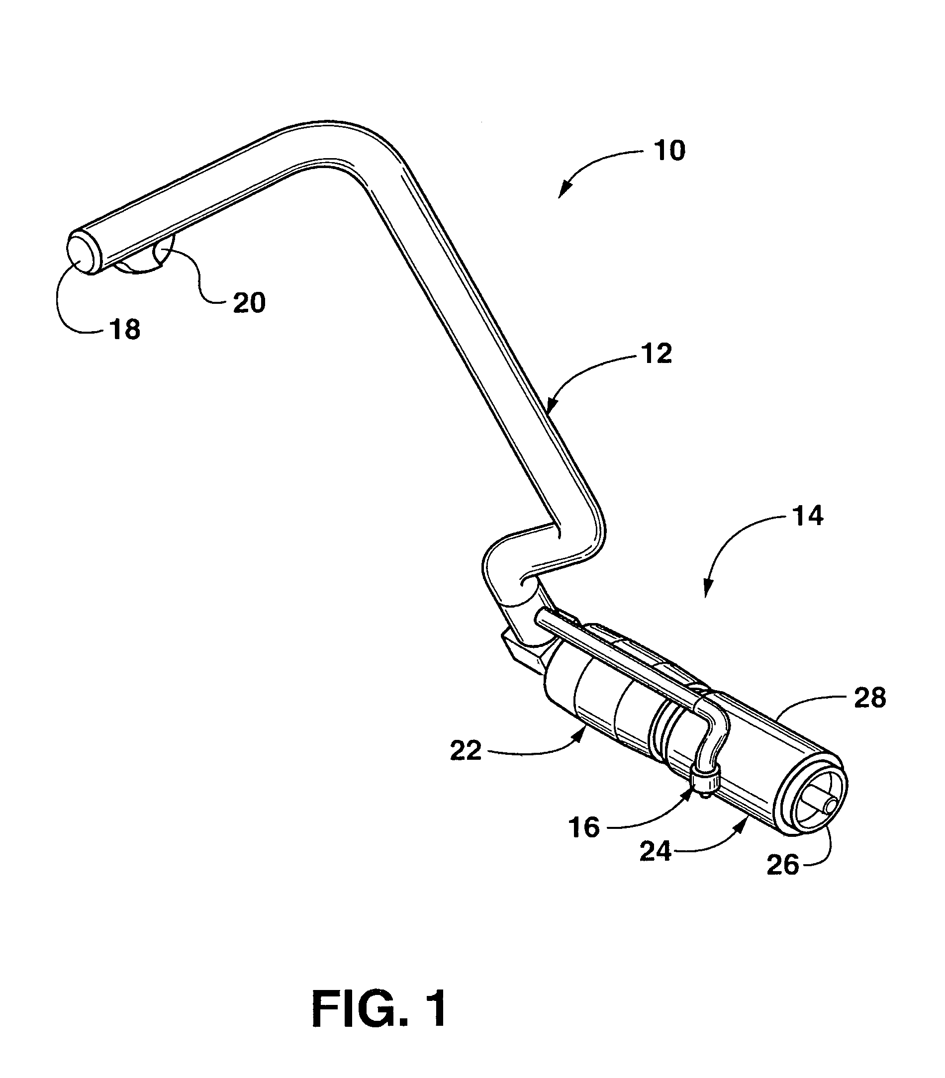 Carpet stain removal device