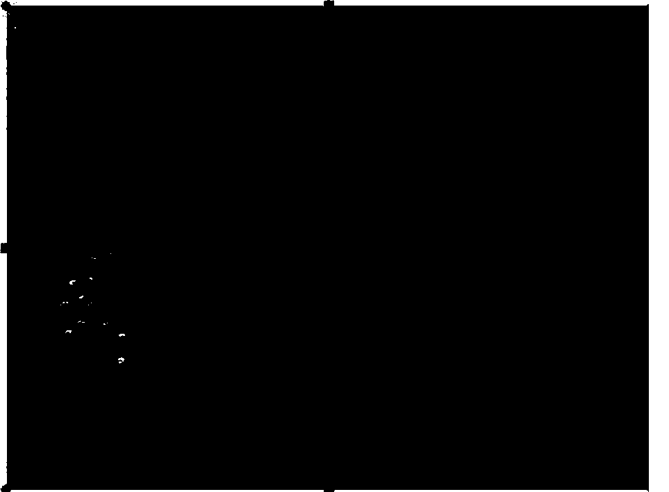 Protective material and application thereof as protective layer for building surfaces and in repair of corroded parts of buildings