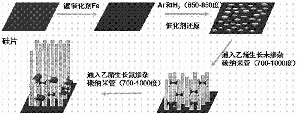 Preparation method of carbon nano-tube vertical array structure with heterojunction