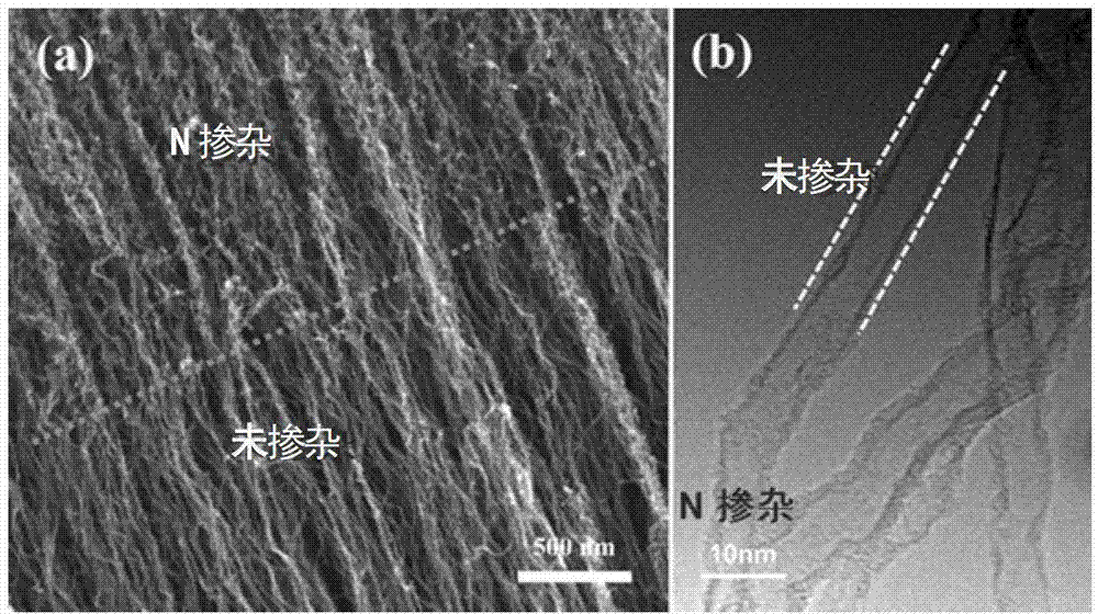 Preparation method of carbon nano-tube vertical array structure with heterojunction