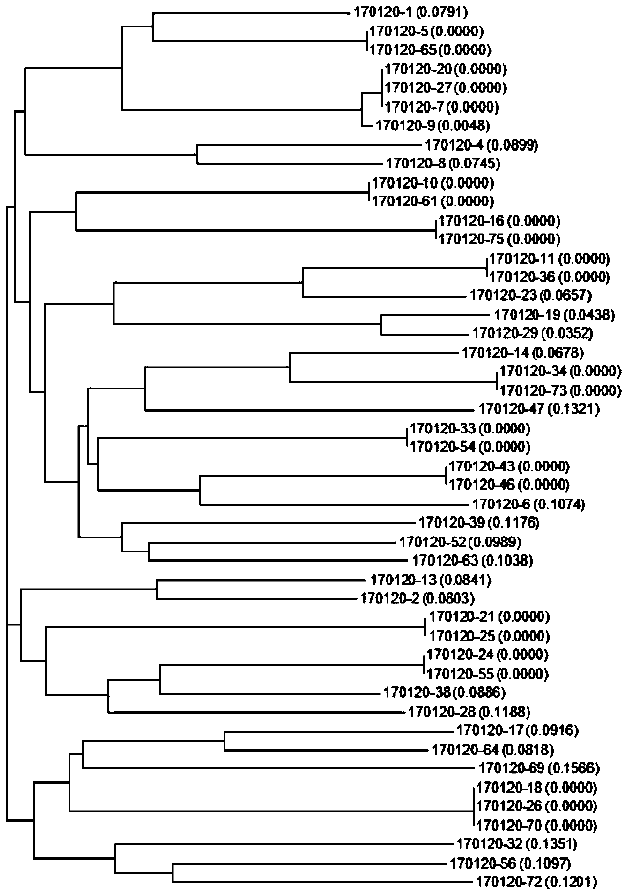 EV71 single-stranded DNA aptamer and chemiluminescent detection kit for detecting enterovirus type-71 by utilizing double aptamers