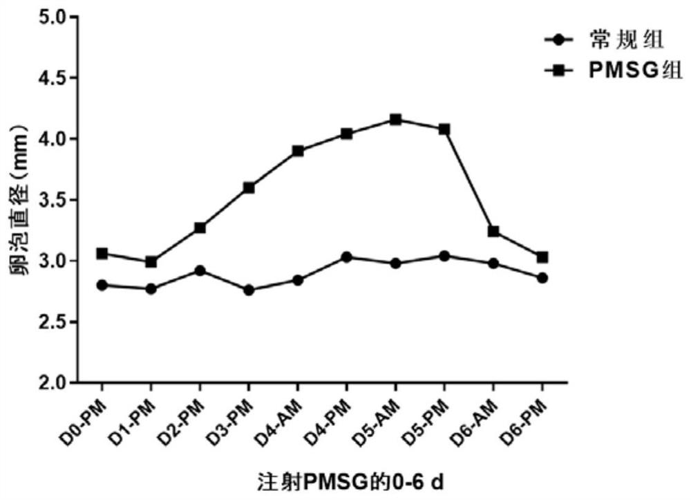 A method to improve the efficiency of timed insemination of gilts