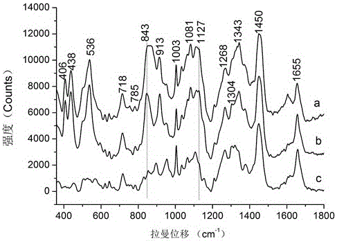 Method for quickly detecting microsporidia spores