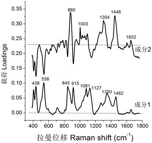 Method for quickly detecting microsporidia spores