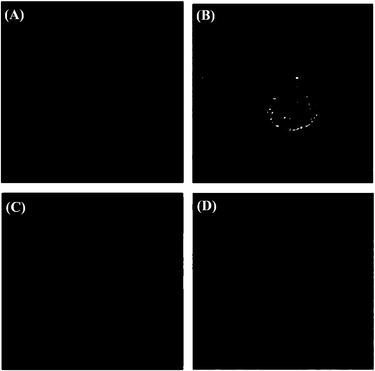 A kind of cell membrane targeted mg2+ fluorescent probe and its preparation method and application