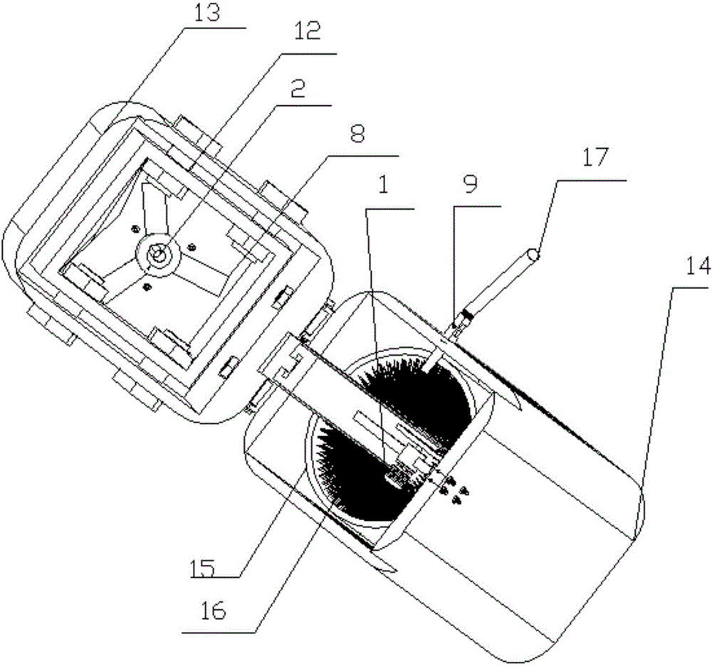 Multifunctional shoe cleaning device