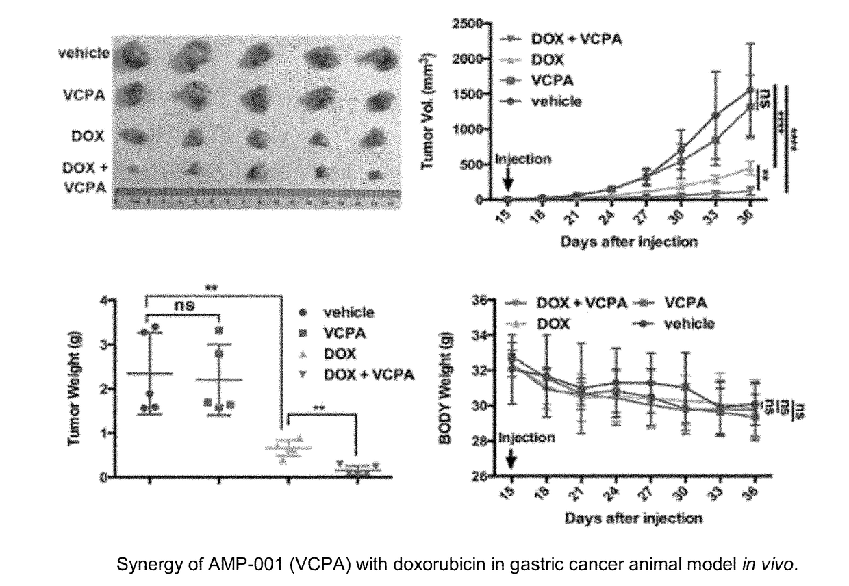 Compositions and methods for sensitizing low responsive tummors to cancer therapy