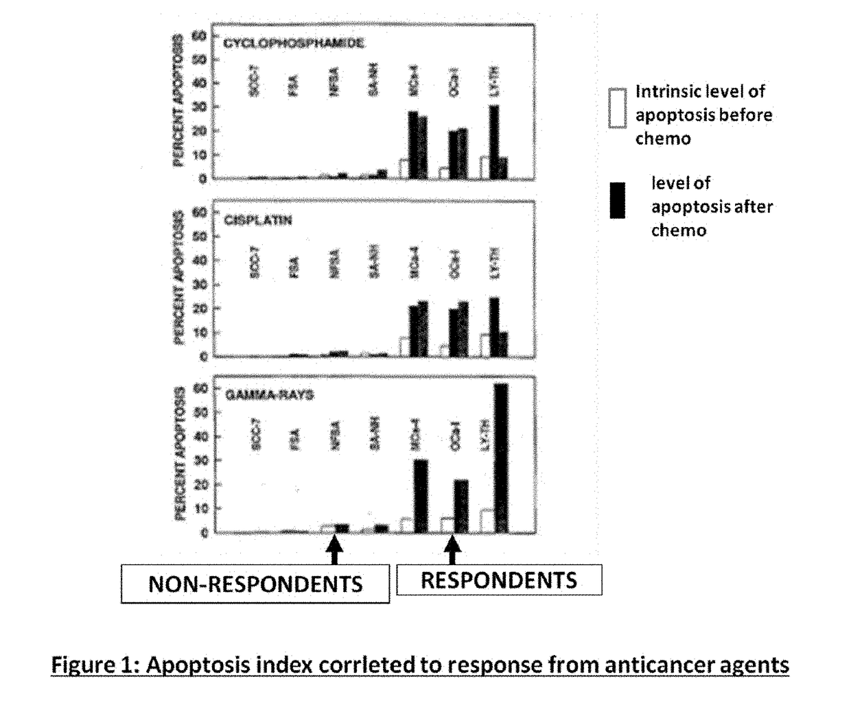 Compositions and methods for sensitizing low responsive tummors to cancer therapy