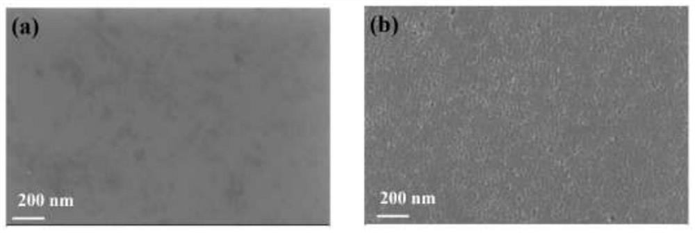 Antimony telluride photoelectric detector and production method thereof