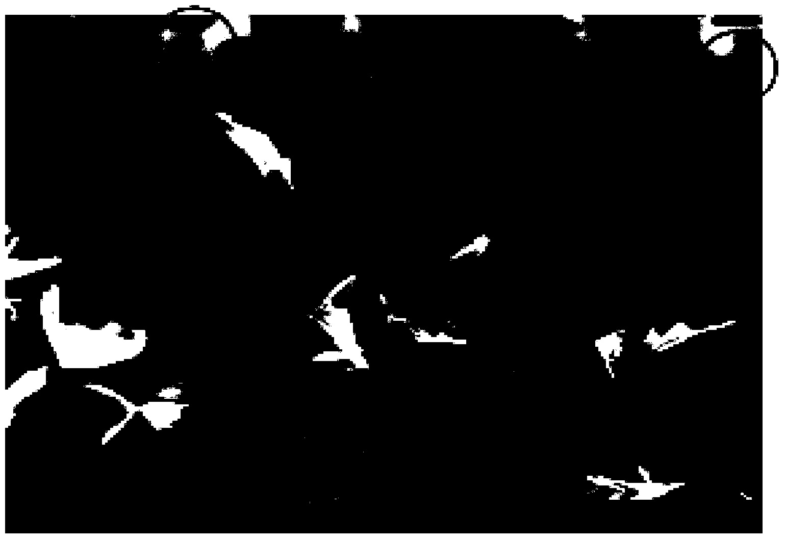 Method for preparing single-layer molybdenum disulfide film