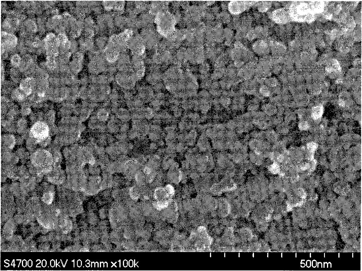 Self-assembly method for high-load inorganic nano particle hybridized organic membrane