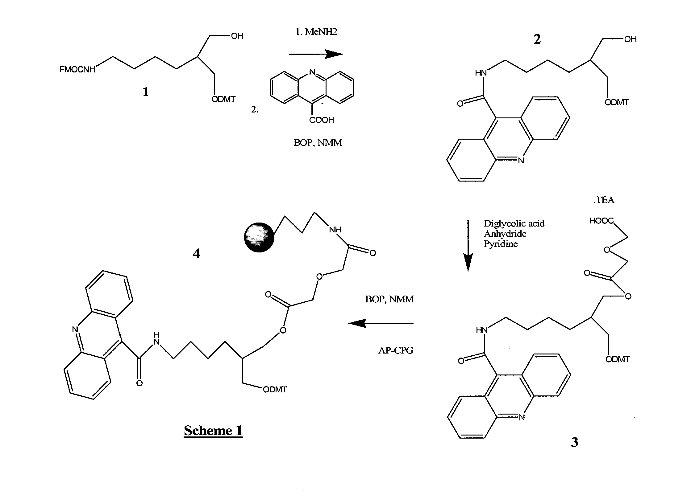 Stabilized nucleic acid dark quencher-fluorophore probes