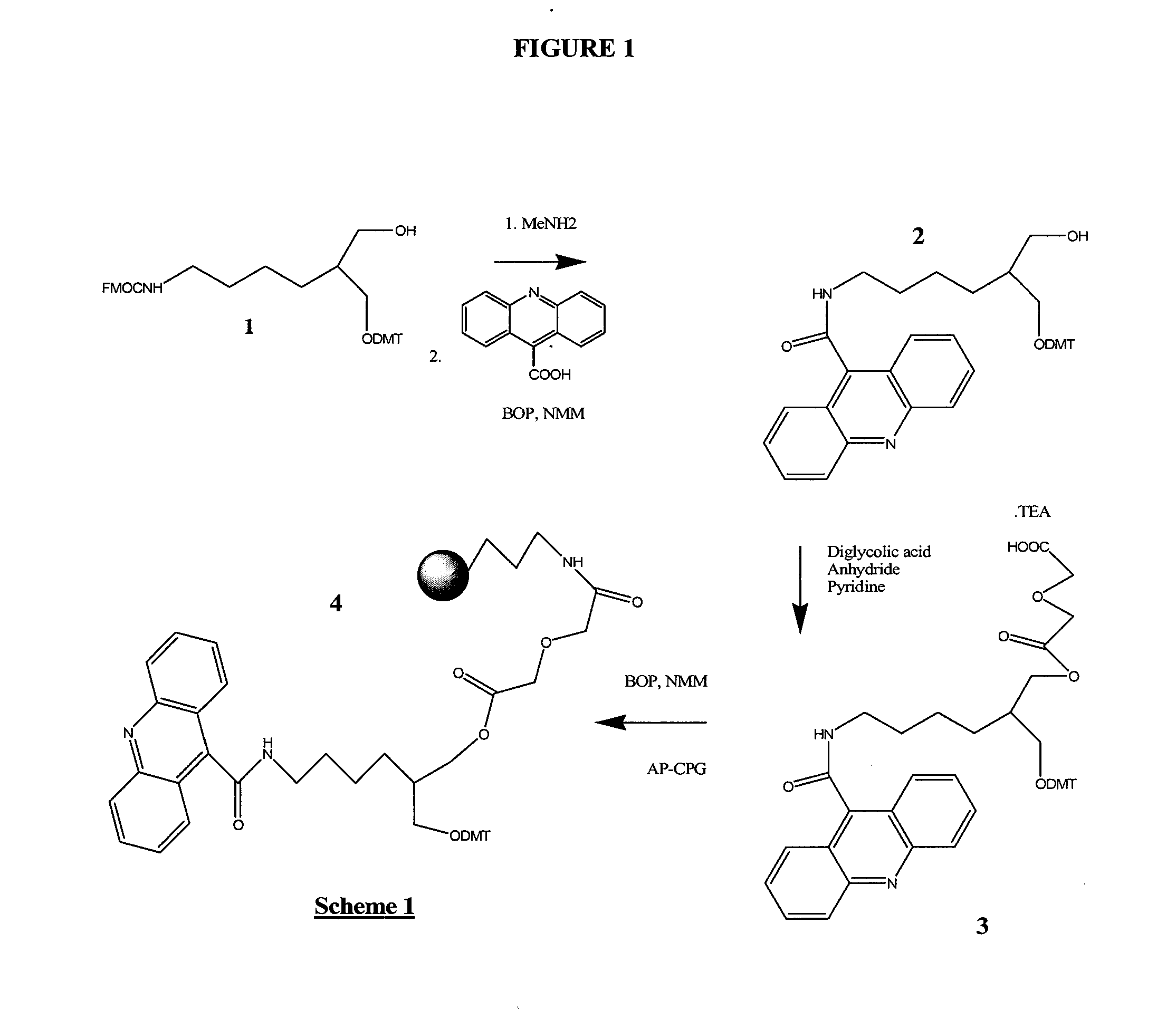 Stabilized nucleic acid dark quencher-fluorophore probes