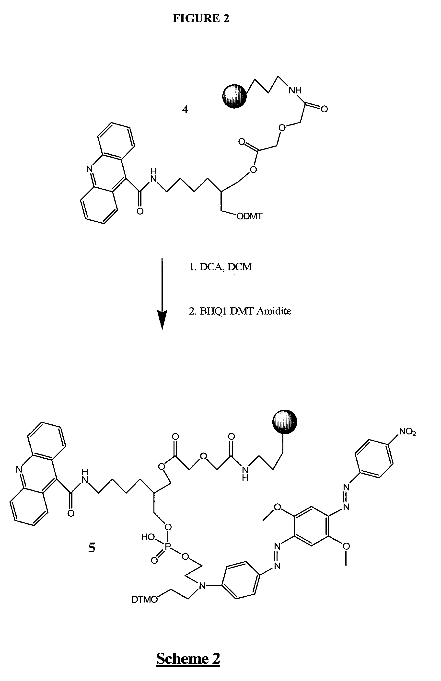 Stabilized nucleic acid dark quencher-fluorophore probes