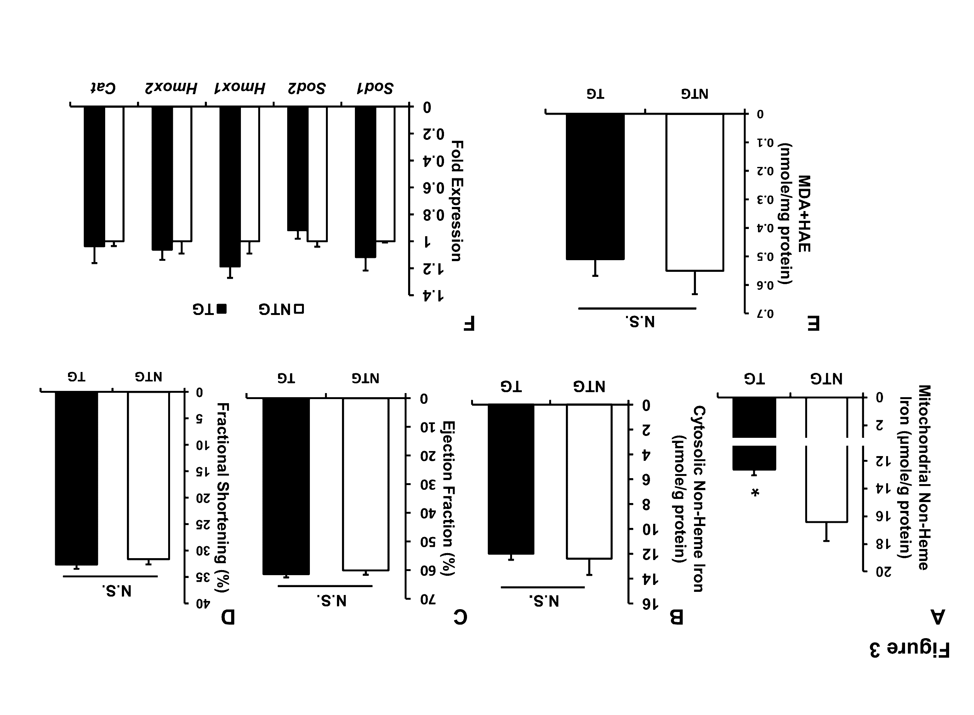 Iron chelators for treating and preventing cell death and organ damage following an ischemic event