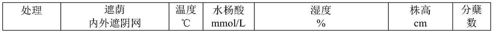 Standardized propagation production method for dianthus superbus