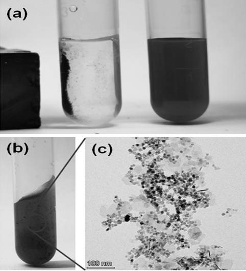 Magnetic graphene nano composite gel for targeted inhibition of corneal lesion, preparation method and application of magnetic graphene nano composite gel, and treatment method