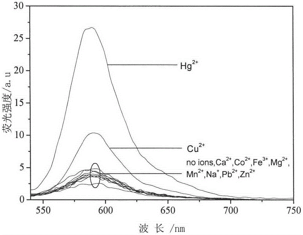 A fluorescent probe containing rhodamine in the detection of hg  <sup>2+</sup> application on