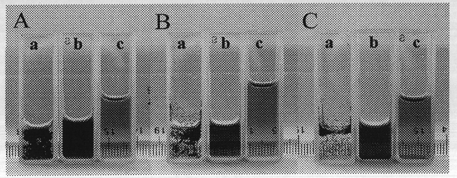 Method for preparing ionic liquid functionalized graphene material