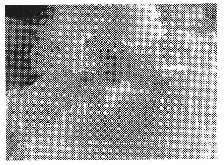 Method for preparing ionic liquid functionalized graphene material