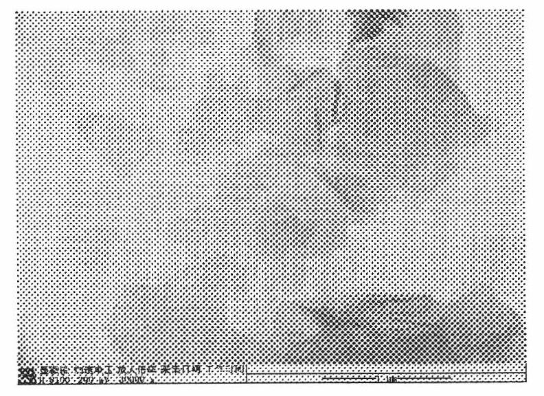 Method for preparing ionic liquid functionalized graphene material