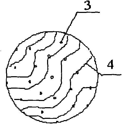 Chitosan coating medicine slow release microsphere and preparation method thereof