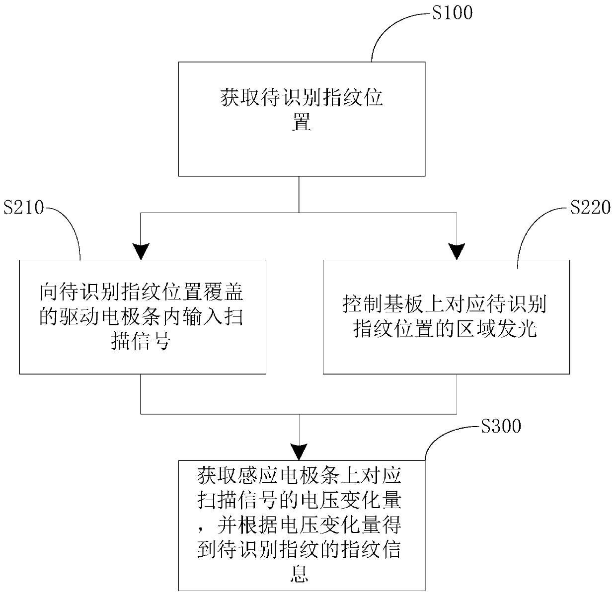 Display screen, display device, fingerprint identification method and storage medium