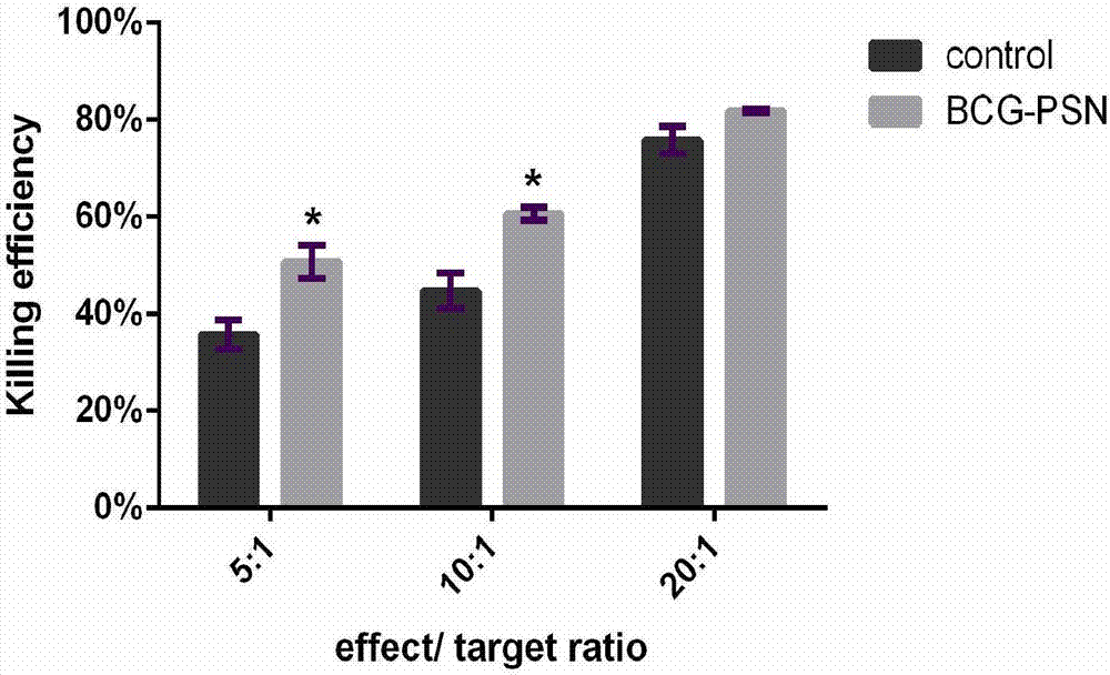 Applications of BCG-PSN (BCG-polysaccharide nuceic acid) in promoting proliferation of CIK cells (cytokine-induced killer cells) and in improving anti-tumor activity of CIK cells