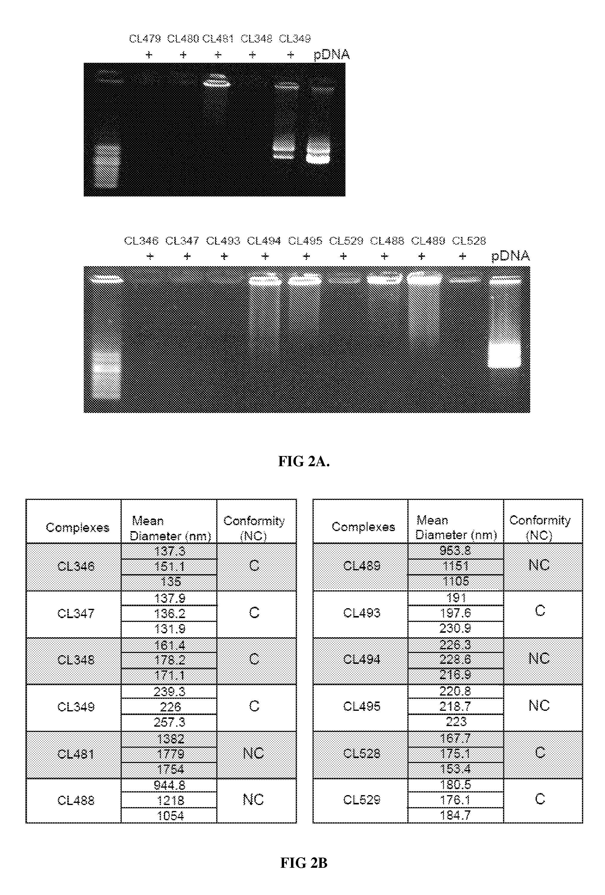 Novel compositions of tlr7 and/or tlr8 agonists conjugated to lipids