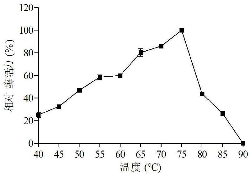 Xylanase Scxyn5 as well as coding gene and application thereof