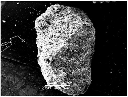 Microporous aluminum salt lithium adsorbent and preparation method thereof, filler and method for enriching lithium ions