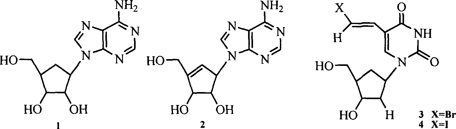 A group of six-carbocycle nucleoside analogue, its synthesis method and antiviral application