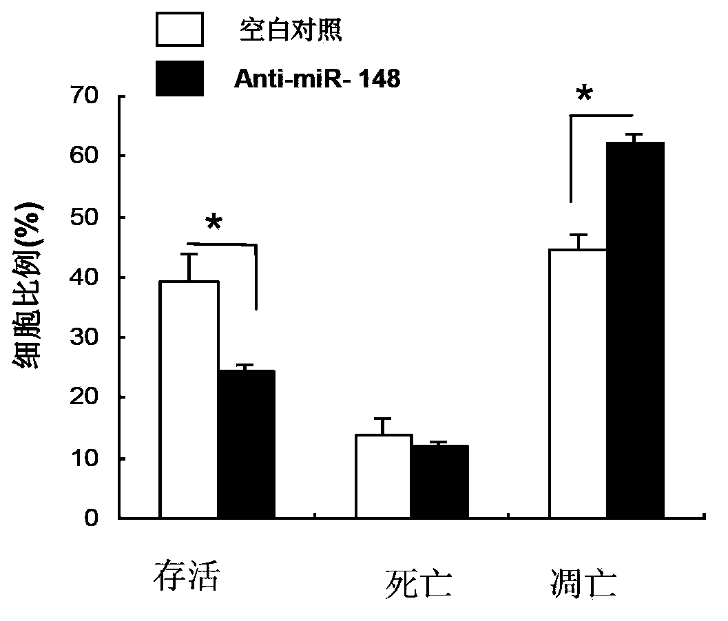 Application of miR-148 to proliferation of pancreatic beta cells