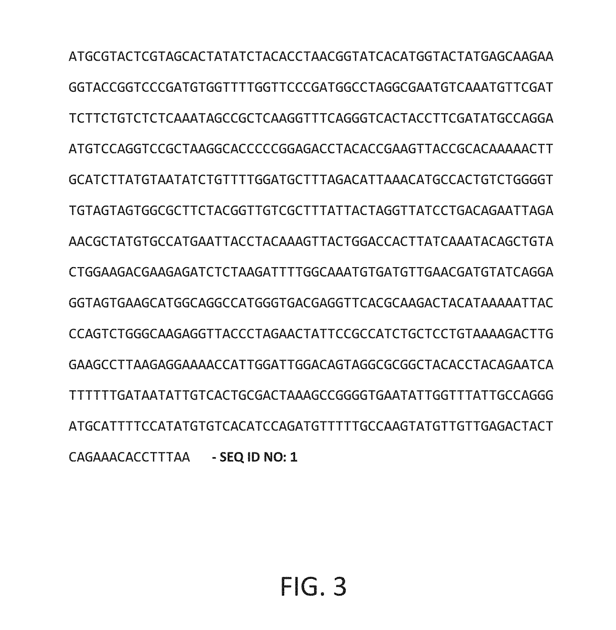 Lactone hydrolase and method of degrading alpha-zearalenol using the same