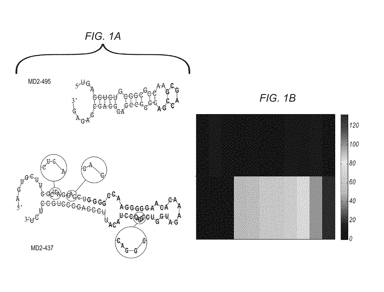 MiRNA expression signature in the classification of thyroid tumors