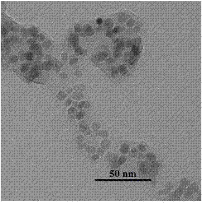 Carbon coated Fe3O4 composite material and preparation method thereof