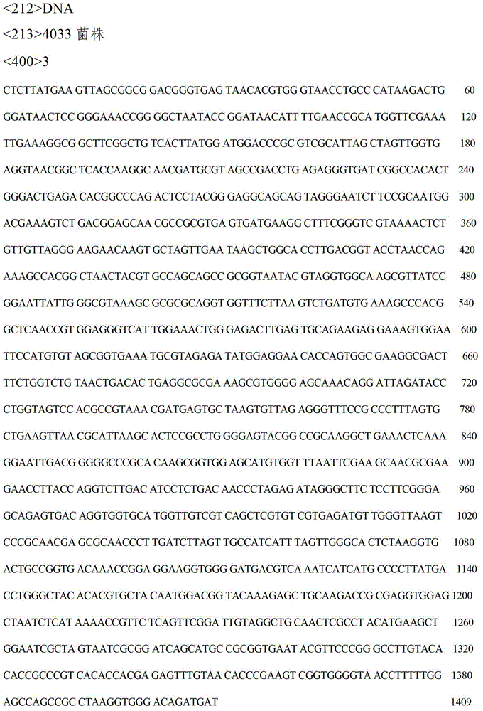 Bacillus cereus and application thereof