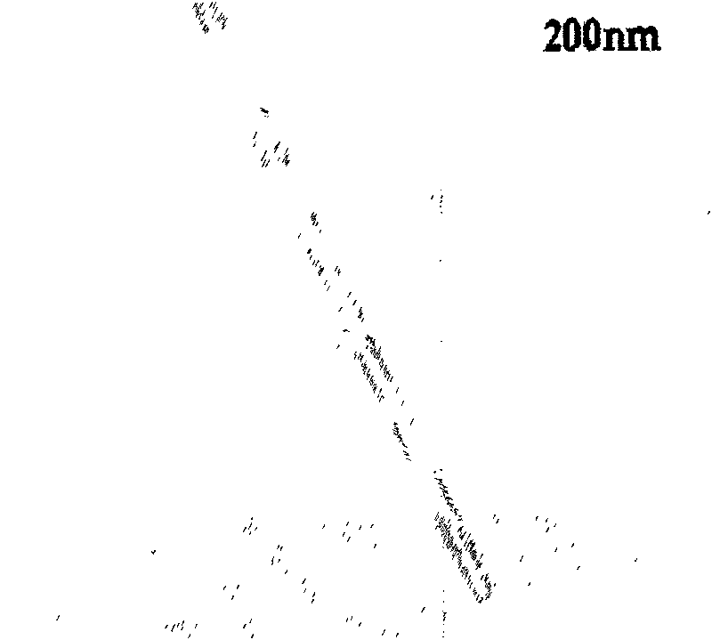 Method for preparing carbon nano-tube or rod by hydrothermal process