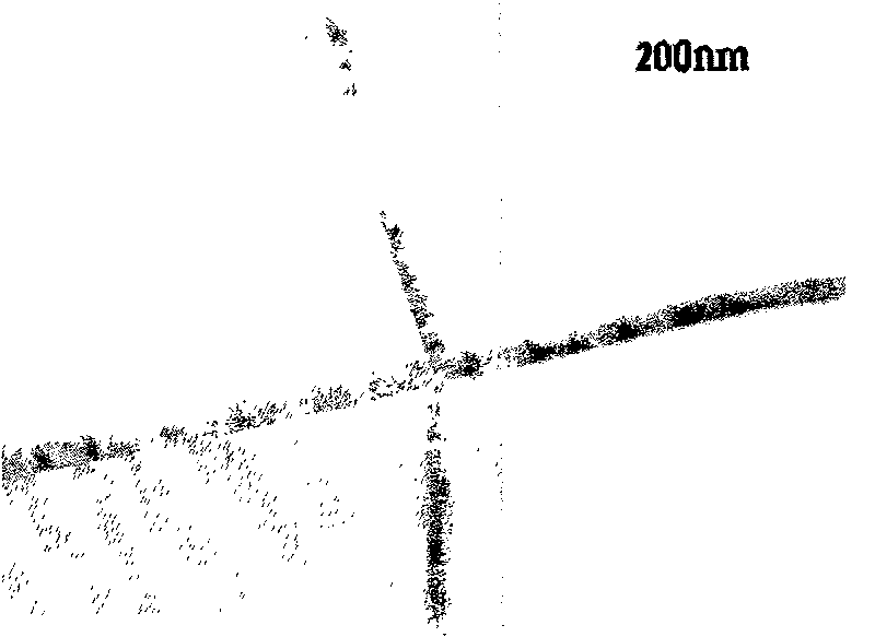 Method for preparing carbon nano-tube or rod by hydrothermal process