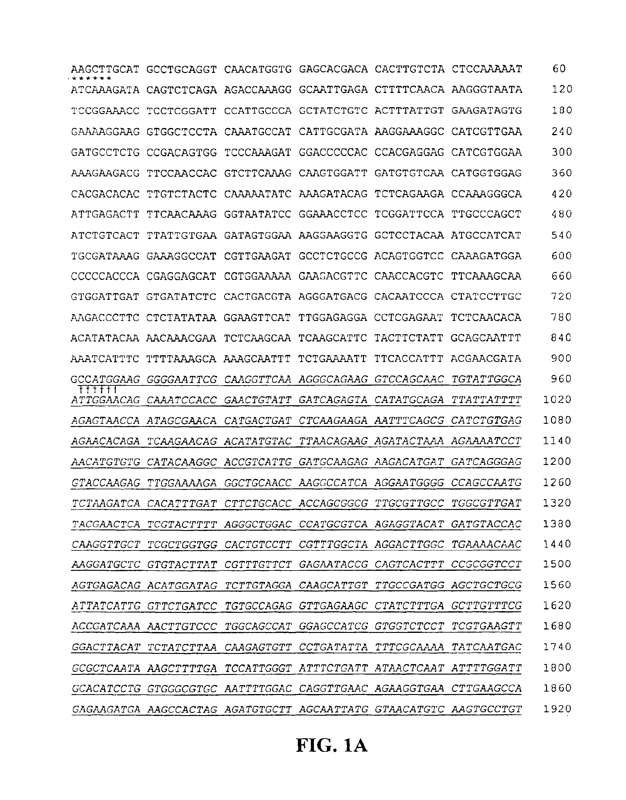 Transgenic legume plants modified to produce resveratrol glucoside and uses thereof