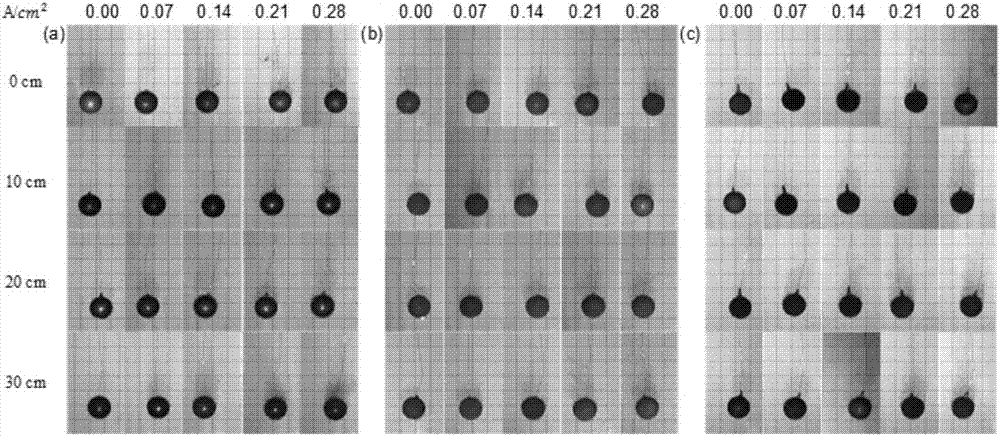 Electrolysis device and application thereof in microbubble resistance reducing technology