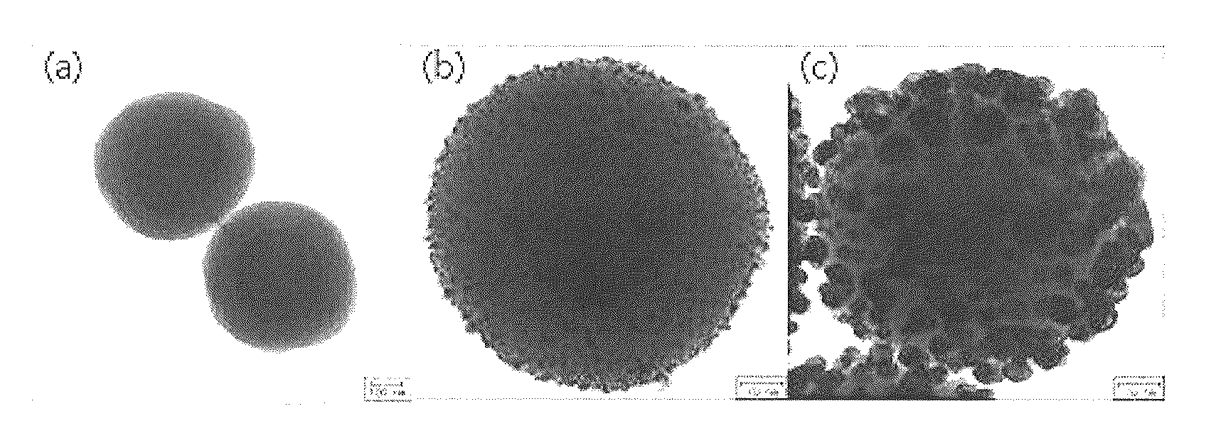 Recyclable porous bead--satellite nanoparticle composite and fabrication method thereof