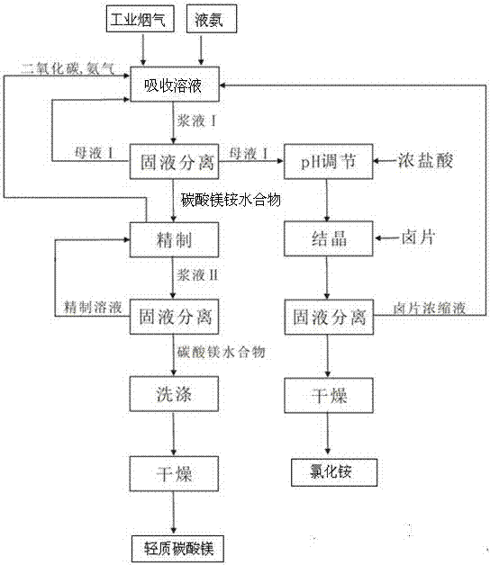 A method for producing light magnesium carbonate and co-producing ammonium chloride by sequestering carbon dioxide