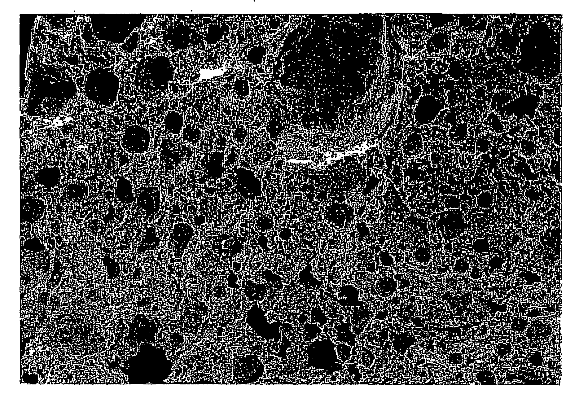 Porous Particulate Material For Fluid Treatment, Cementitious Composition and Method of Manufacture Thereof