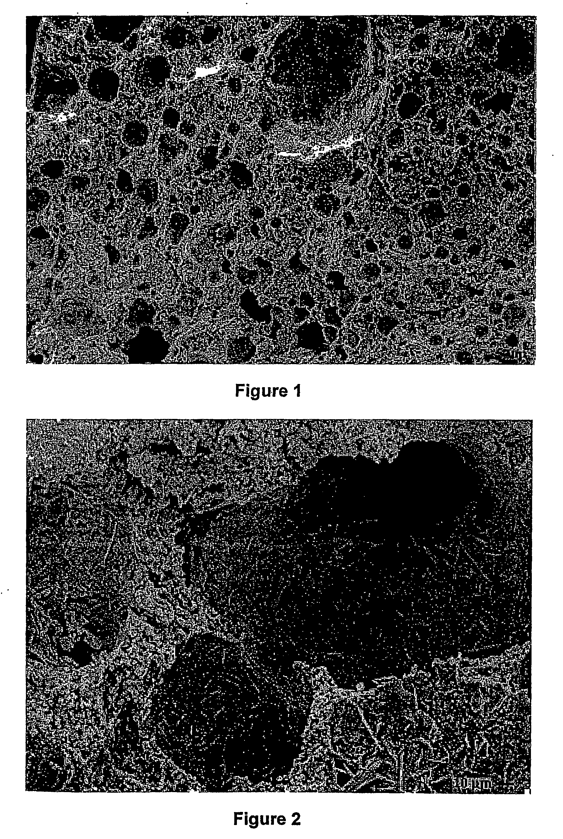 Porous Particulate Material For Fluid Treatment, Cementitious Composition and Method of Manufacture Thereof