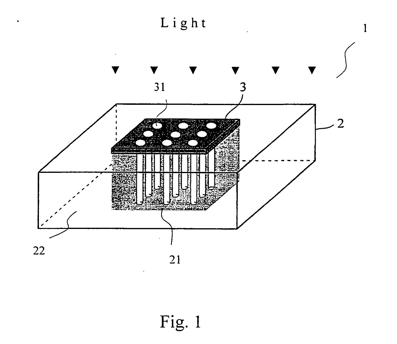 Method and device for cultivating and maintaining aquatic crustaceans