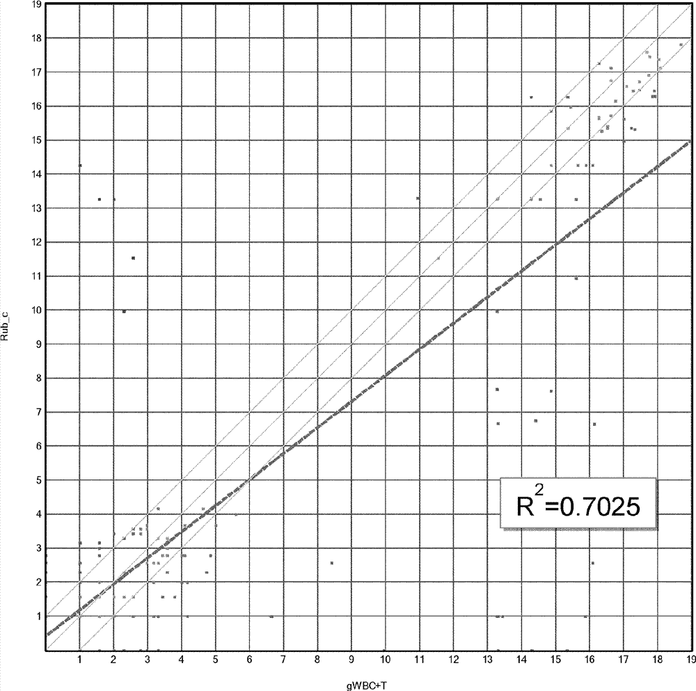 Dual enzymatic amplification